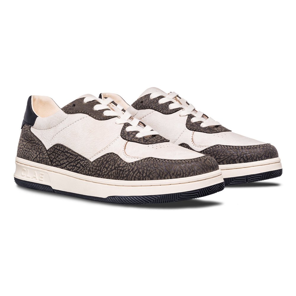 Chaussure CLAE Homme Elephant - france FNB-01216777