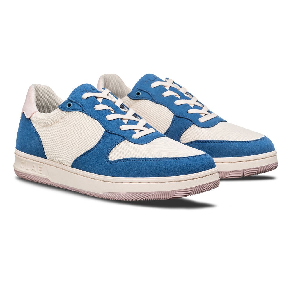 Chaussure CLAE Homme Stellar Blue Pink - france GEH-74173877