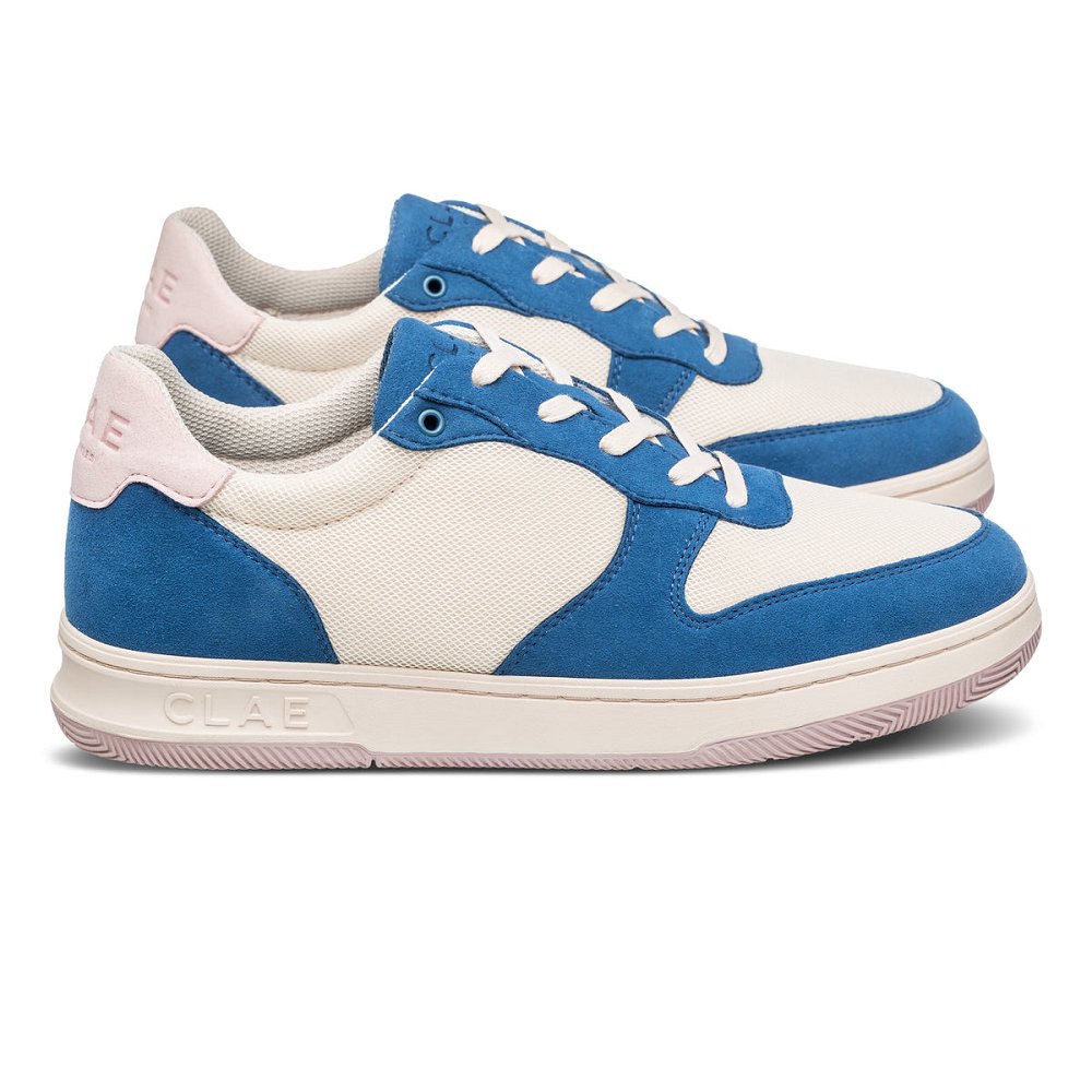 Chaussure CLAE Homme Stellar Blue Pink - france GEH-74173877