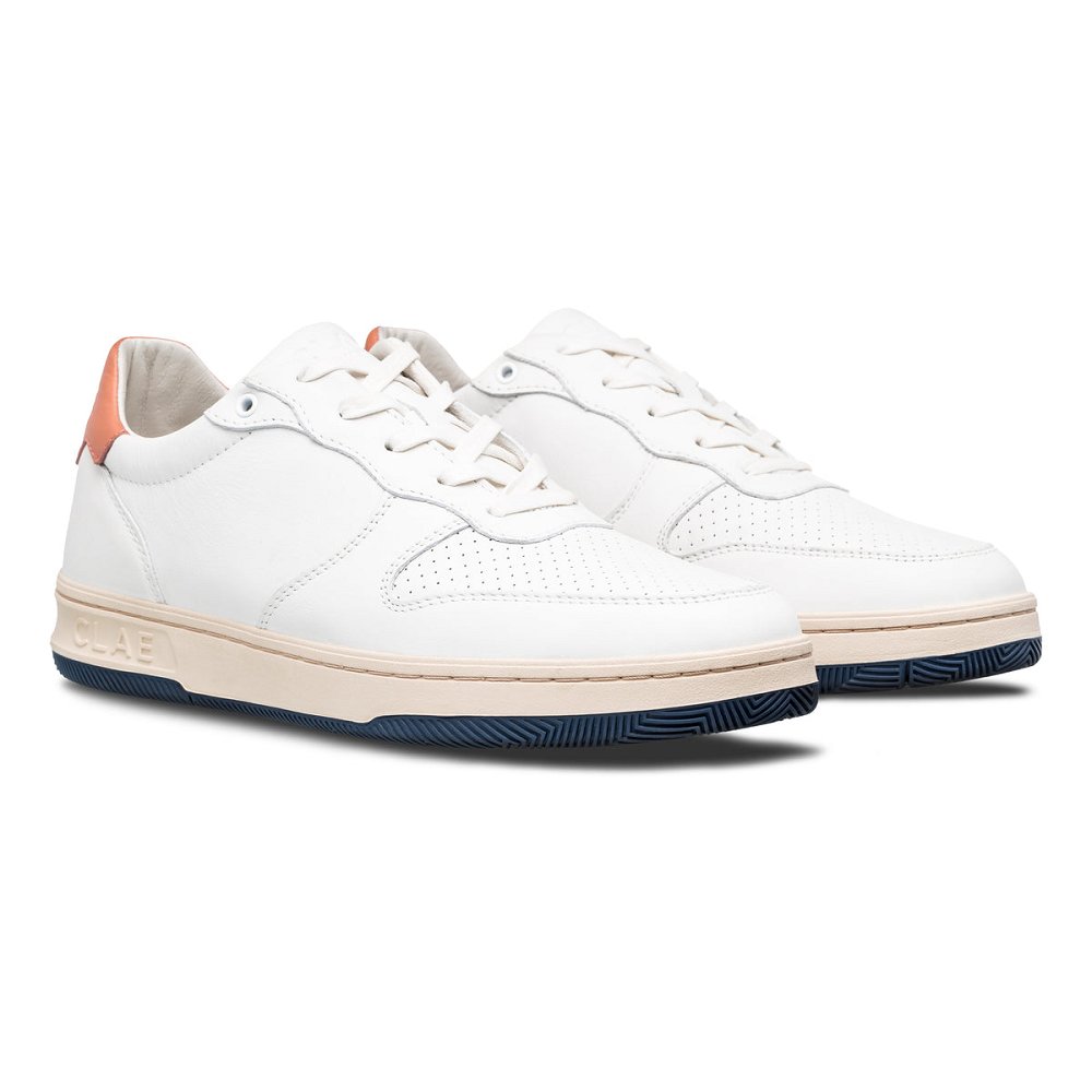 Chaussure CLAE Homme White Leather Canyon Sunset - france RGR-24453644