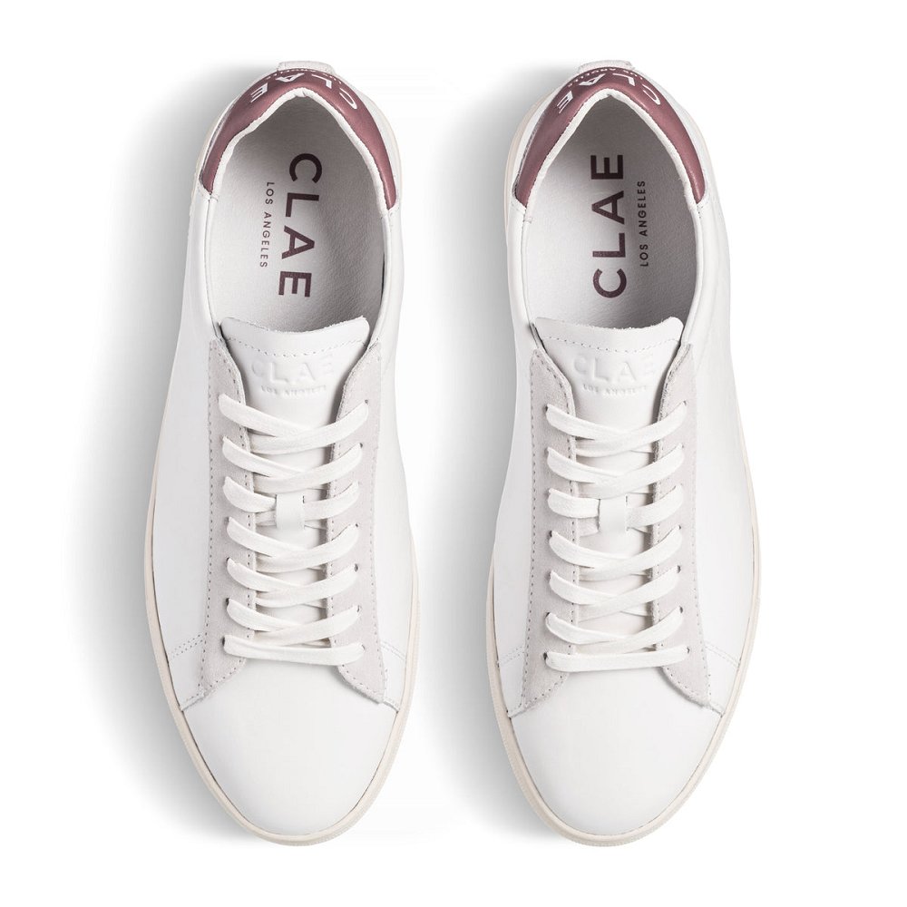 Chaussure CLAE Homme White Leather Panama - france DFK-43662692