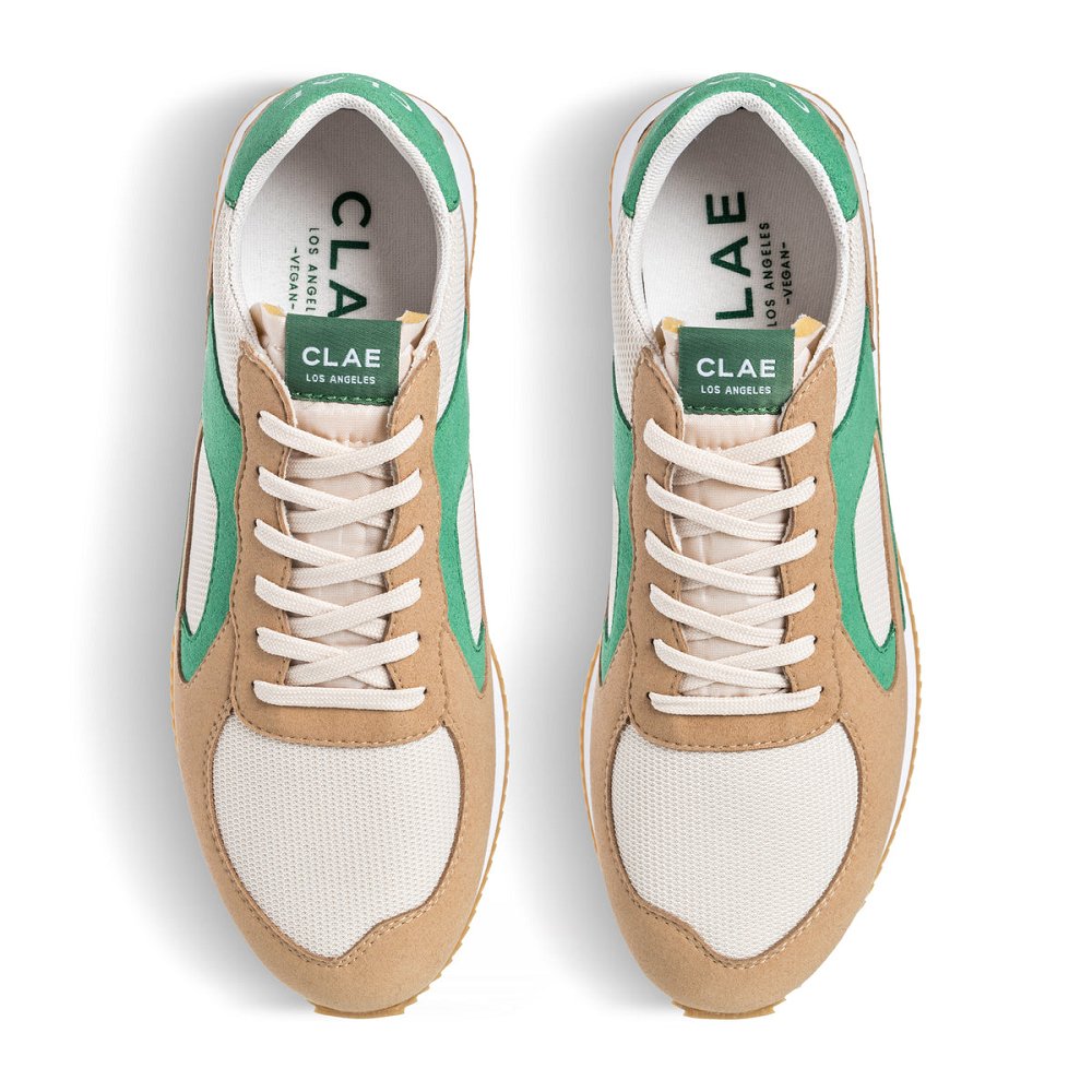 Basket CLAE Femme Sand Pine Green - france HPP-06648218